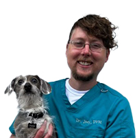Dr. Joey Image
