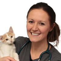 Dr. Rykhus
