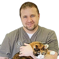 Dr. Thoreson