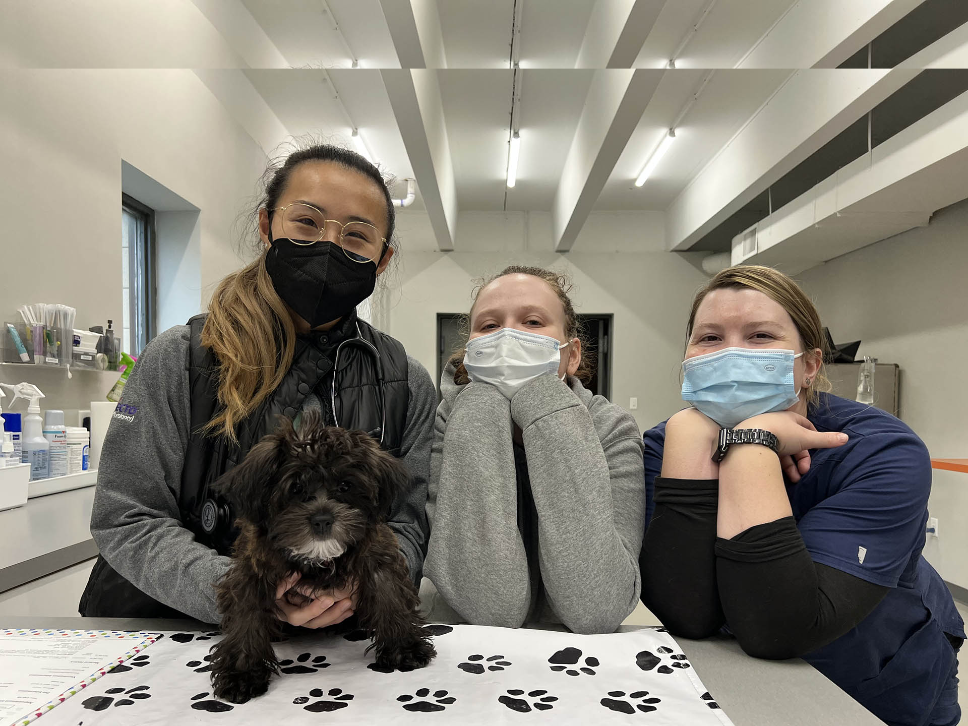 Valuecare veterinary clinic sale